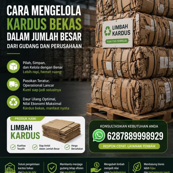 Cara Mengelola Kardus Bekas dalam Jumlah Besar dari Gudang dan Perusahaan